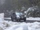 Nissan Navara ST Black Edition