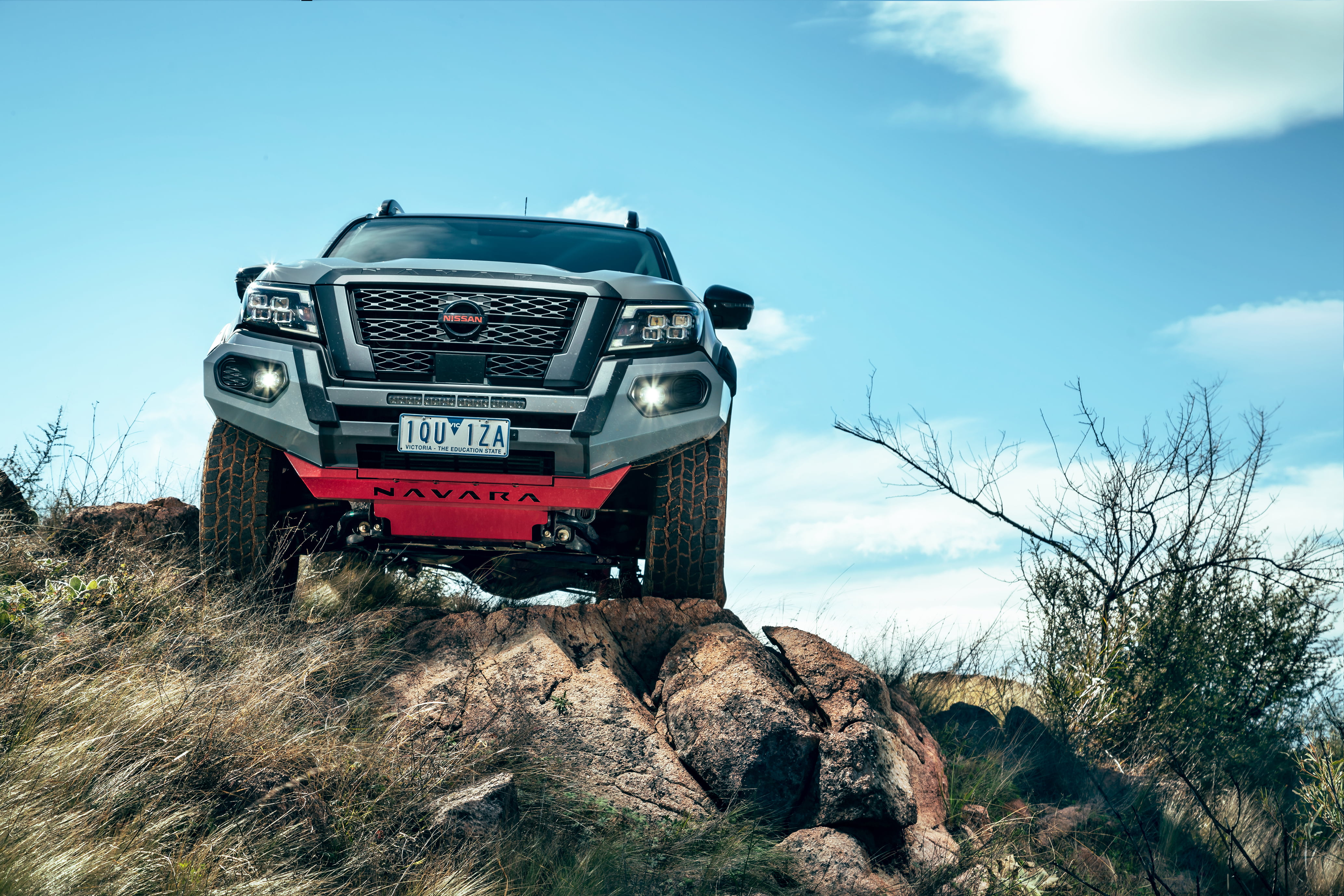 NAVARA PRO-4X WARRIOR (4).JPG (0Q6CKXNB)