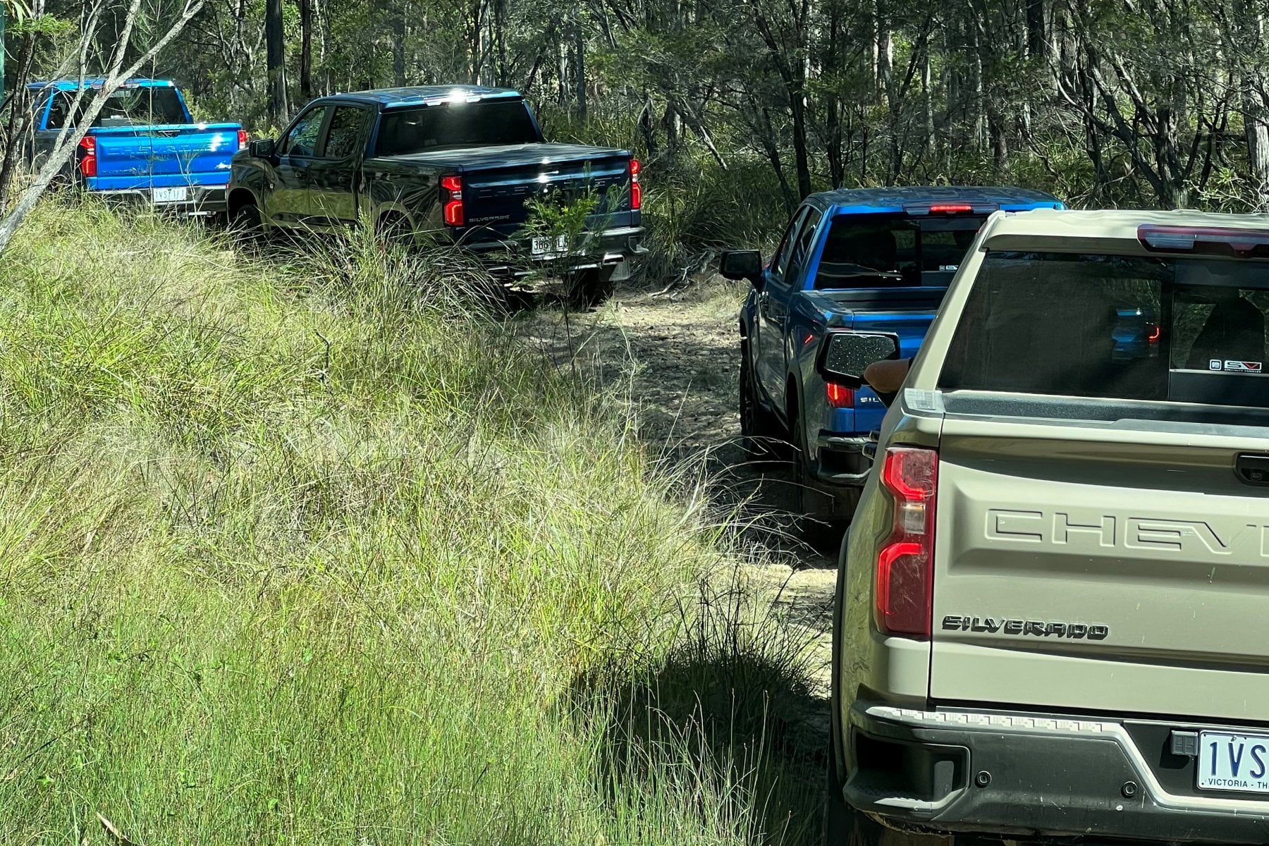 2023 Chevrolet Silverado 1500 ZR2 on forest trail