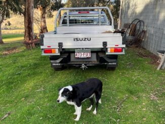 Isuzu D-Max LS-U Dual Cab Trayback 4WD Ute at farm tray 1