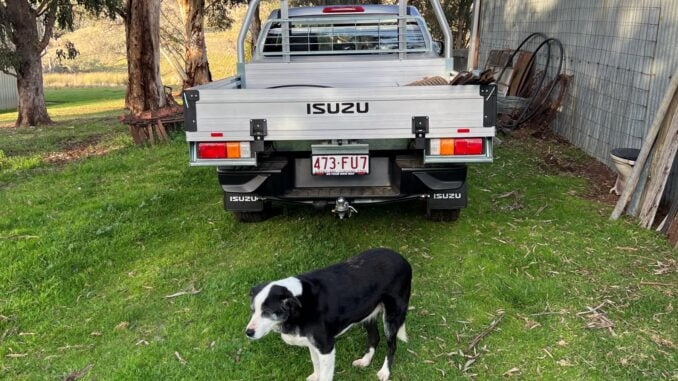 Isuzu D-Max LS-U Dual Cab Trayback 4WD Ute at farm tray 1