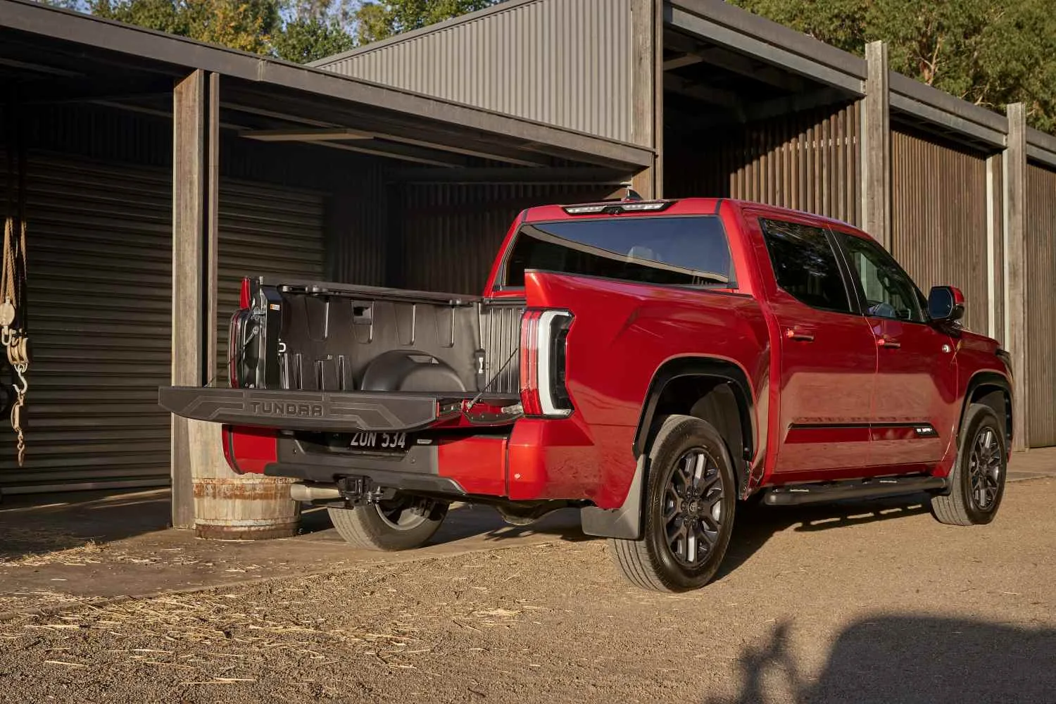 Toyota Tundra Platinum rear tailgate 1