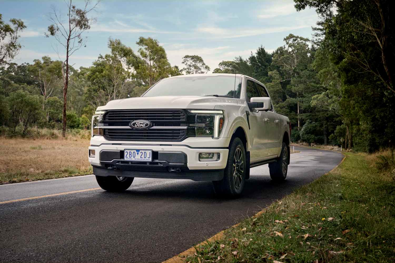 2025 Ford F-150 Platinum (1)