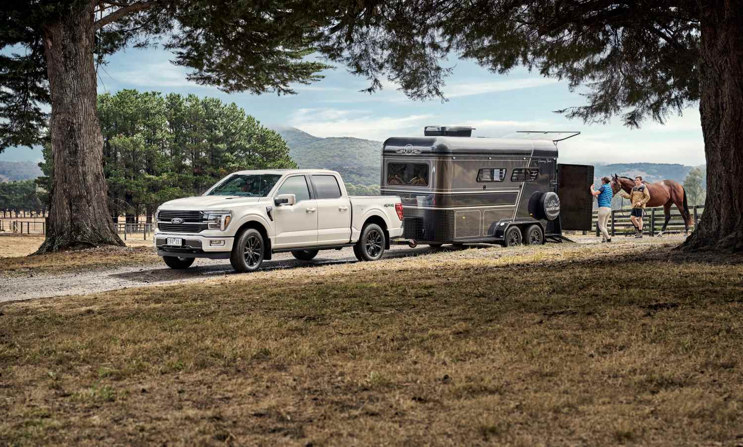2025 Ford F-150 Platinum (14)